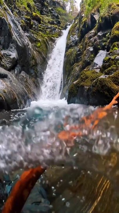 let's make a good and deep relaxation with beautiful water and bird's vocals