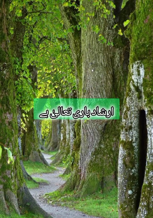 Importance of sacrifice in islam