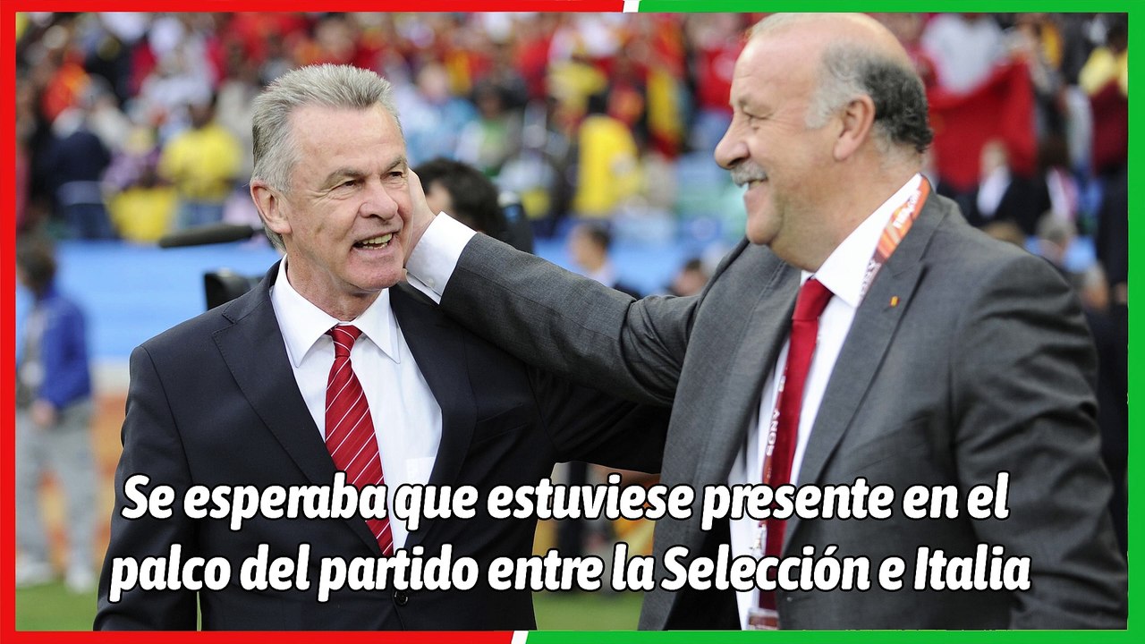 Vicente del Bosque, fuera