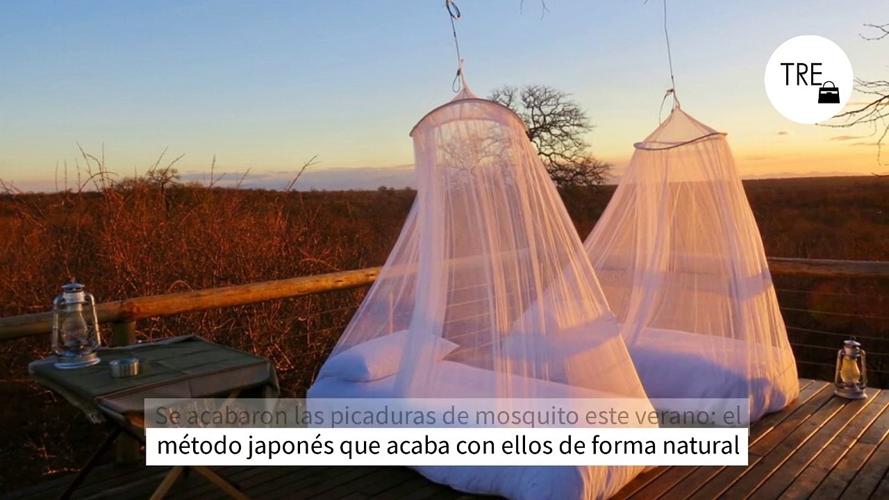 Se acabaron las picaduras de mosquito este verano: el método japonés que acaba con ellos de forma natural
