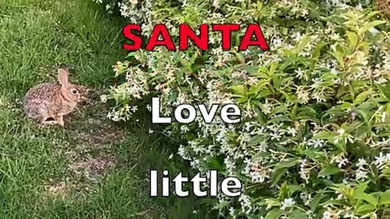 Hop SANTA Hop HIRE Hop ME! Hop-Hop!