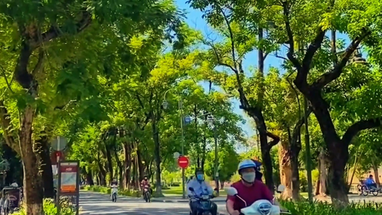 Người em Vỹ Dạ - Tác giả Minh Kỳ và Tôn Nữ Thụy Khương