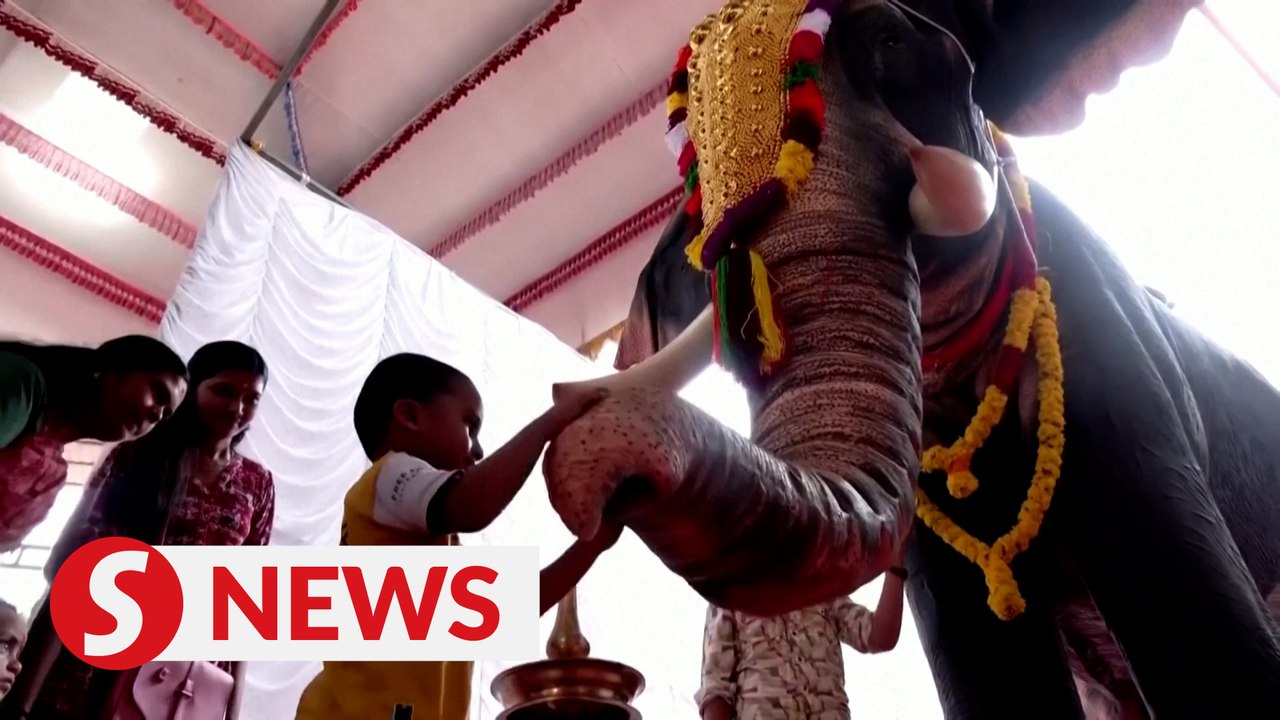 Indian temple uses lifelike robotic elephant for rituals