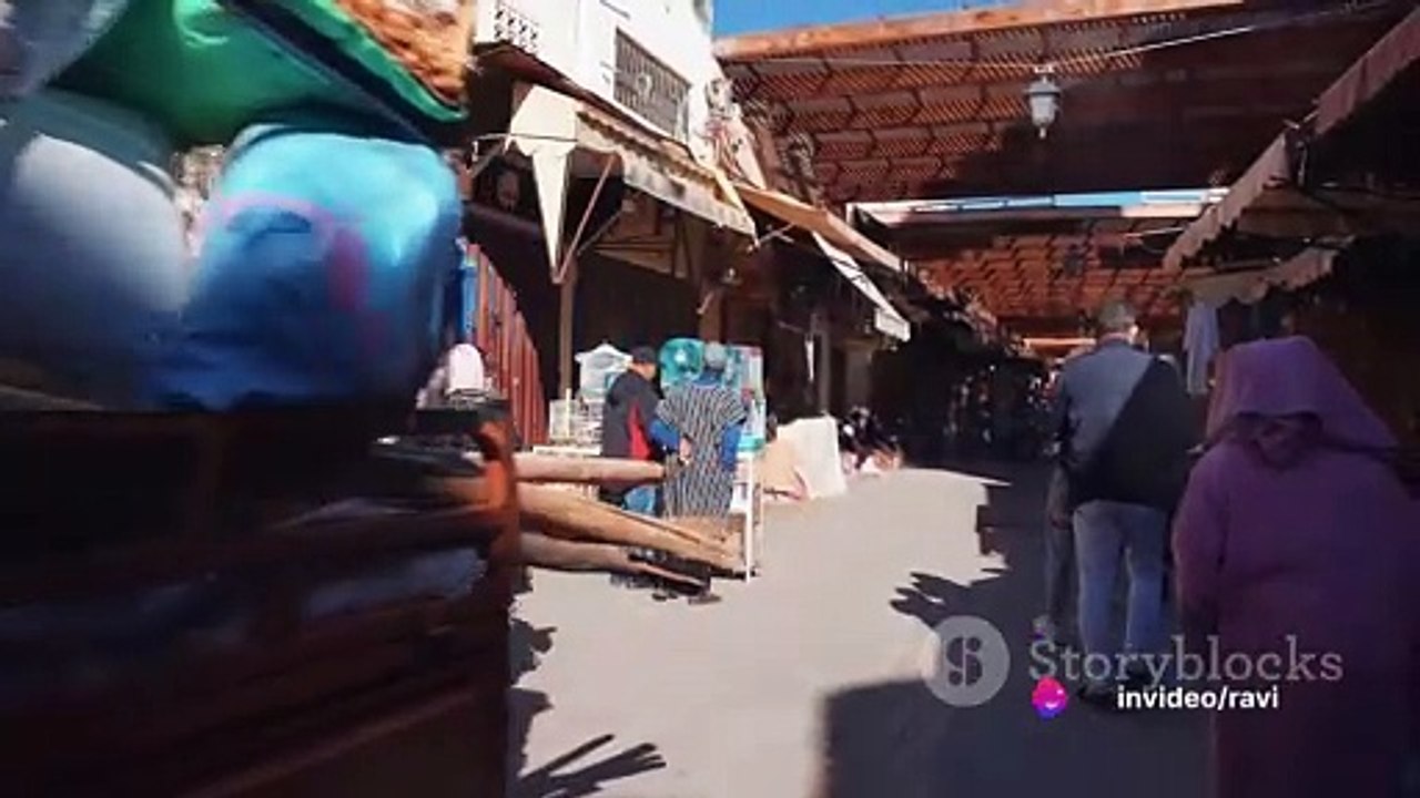 Understanding Food, Understanding the World