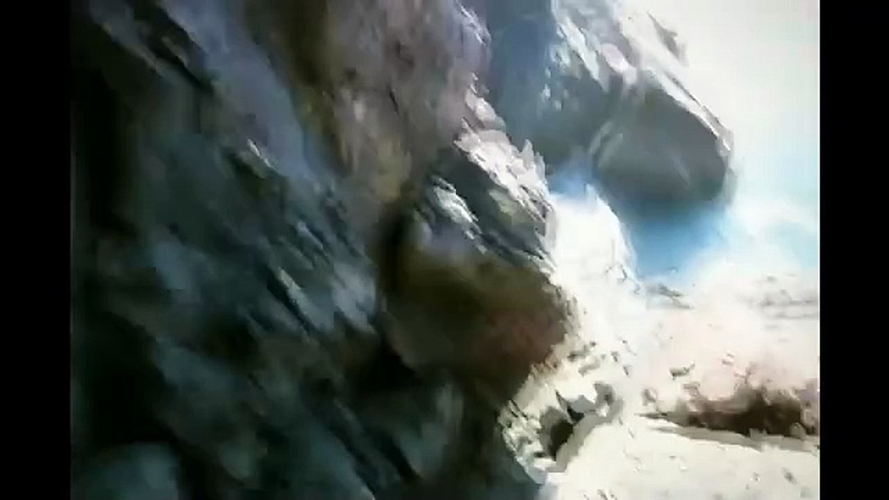 Bear life - man vs wild in hindi new episodes 2024 - 440859468733319(SD)