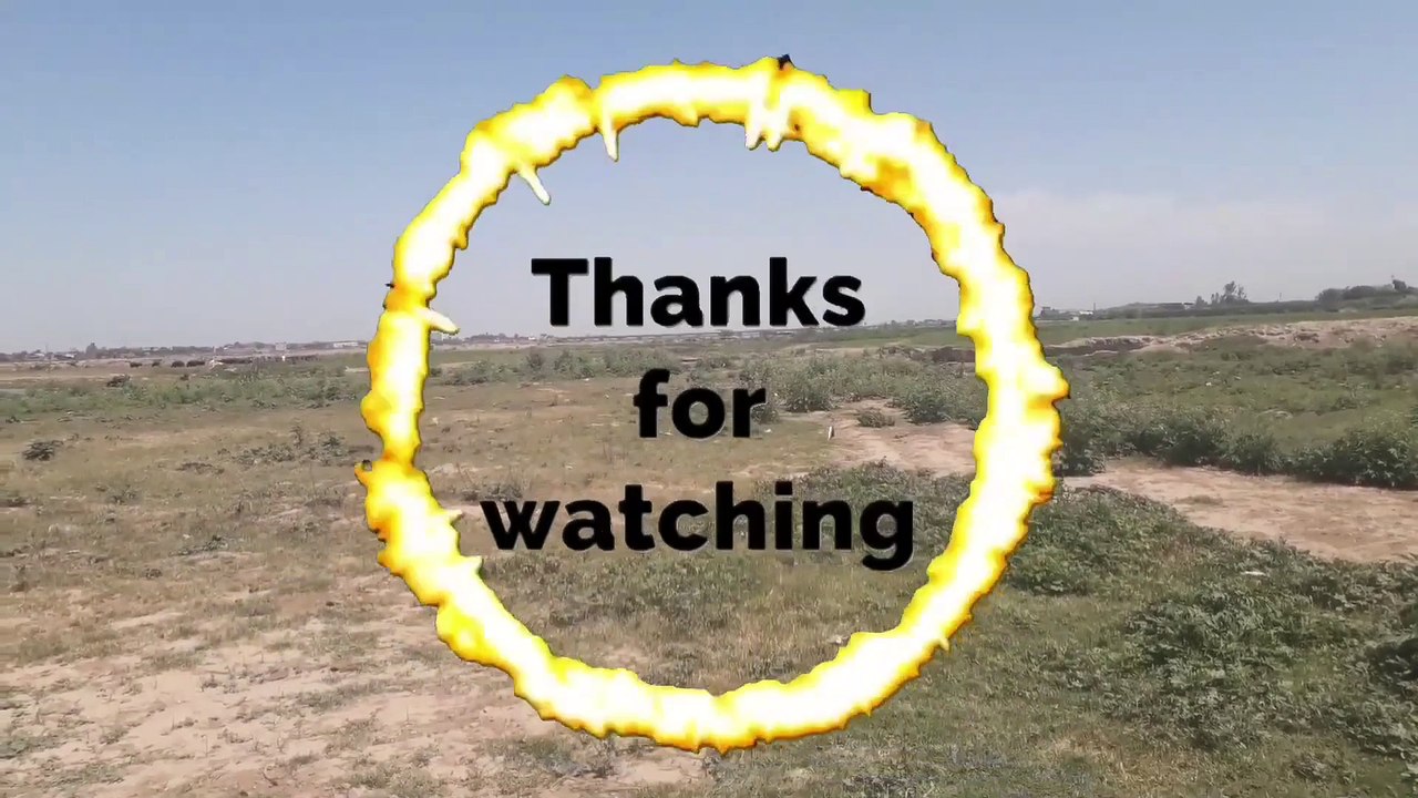 dinosaurs bes dinosaurs best  video dinosaur best video dinosaur vs dinosaurs t roxy