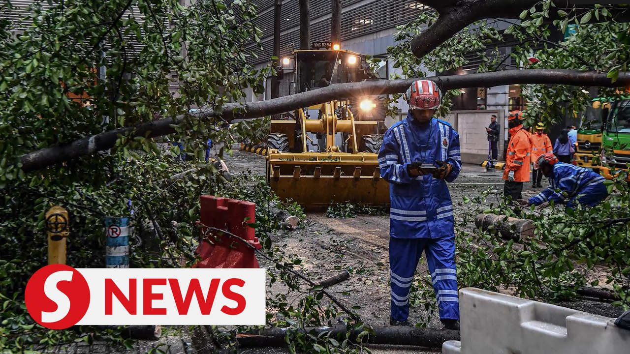 Five deaths and nine injuries involving falling trees in KL since 2017, says Zaliha