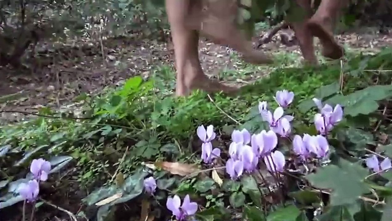 Nus et culottés -1er juillet