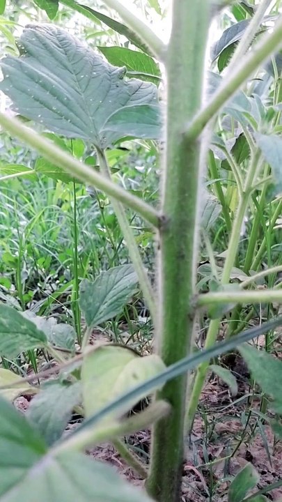 Lust for money and power - Quran explains