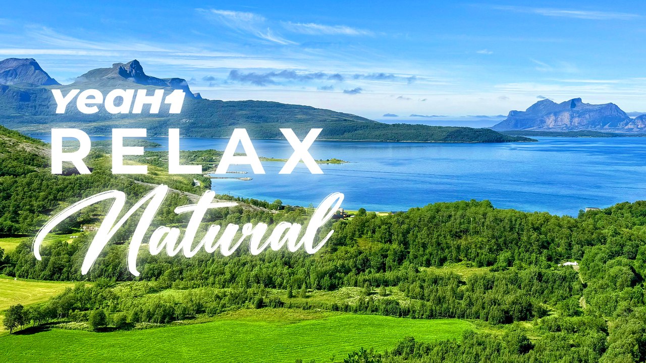 Meditation Music With Mountain Streams And Forest Sounds | YeaH1 Relax Natural