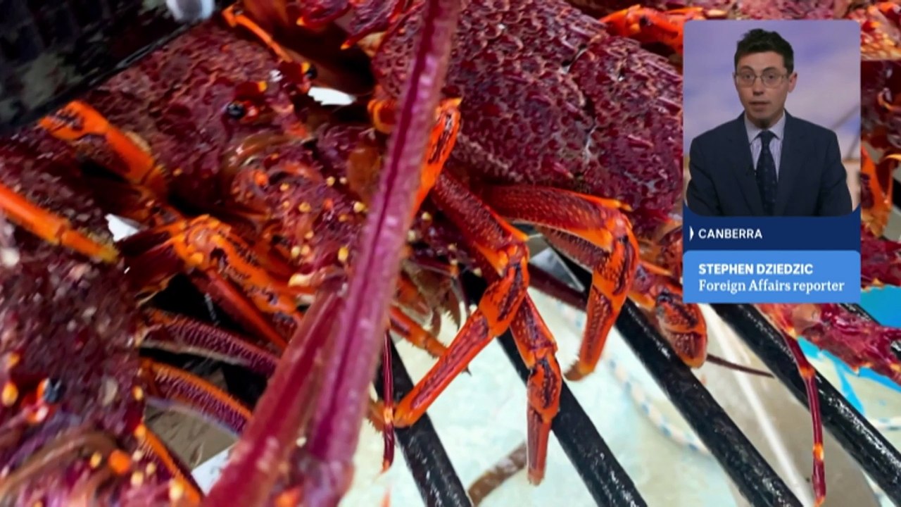 Australian rock lobster fishermen frustrated by ongoing Chinese trade restrictions despite government assurances