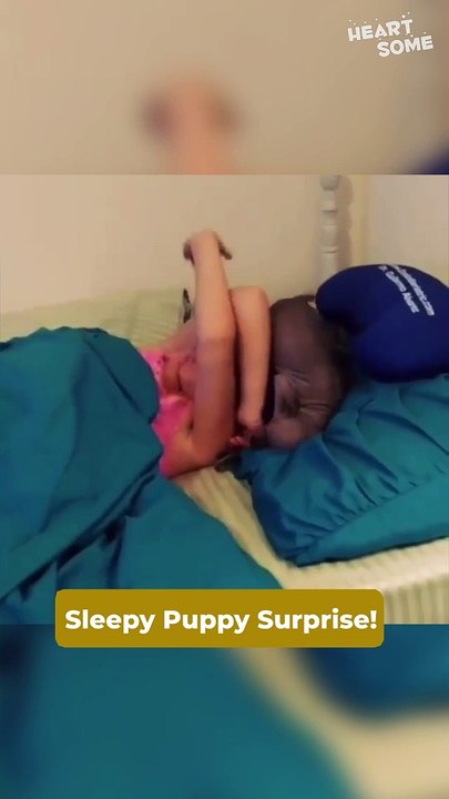 Heartsome Surprise | Child's Dream Puppy Reveal! ❤️