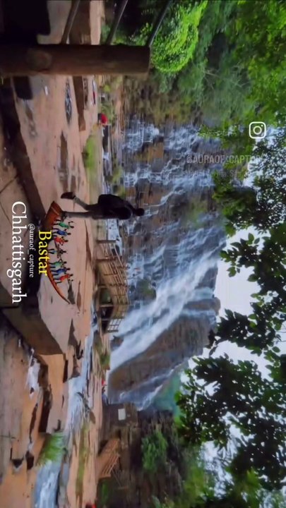 CG Blog: Insights & Updates