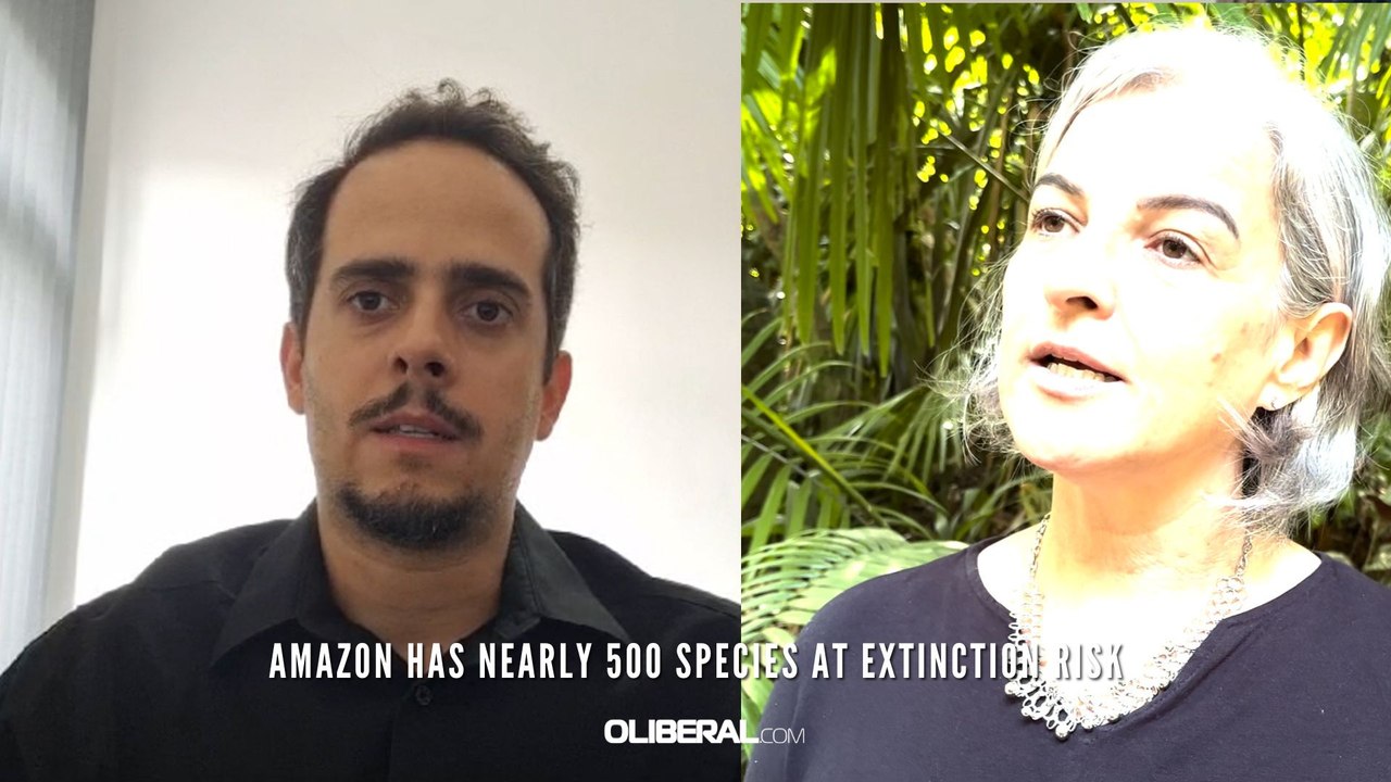 Amazon has nearly 500 species at extinction risk