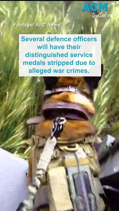 Multiple ADF commanders will have medals stripped over alleged war crimes