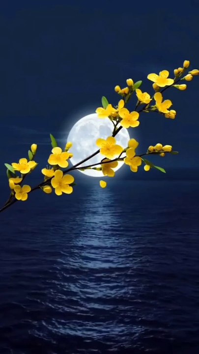 2024-06-25-095830564