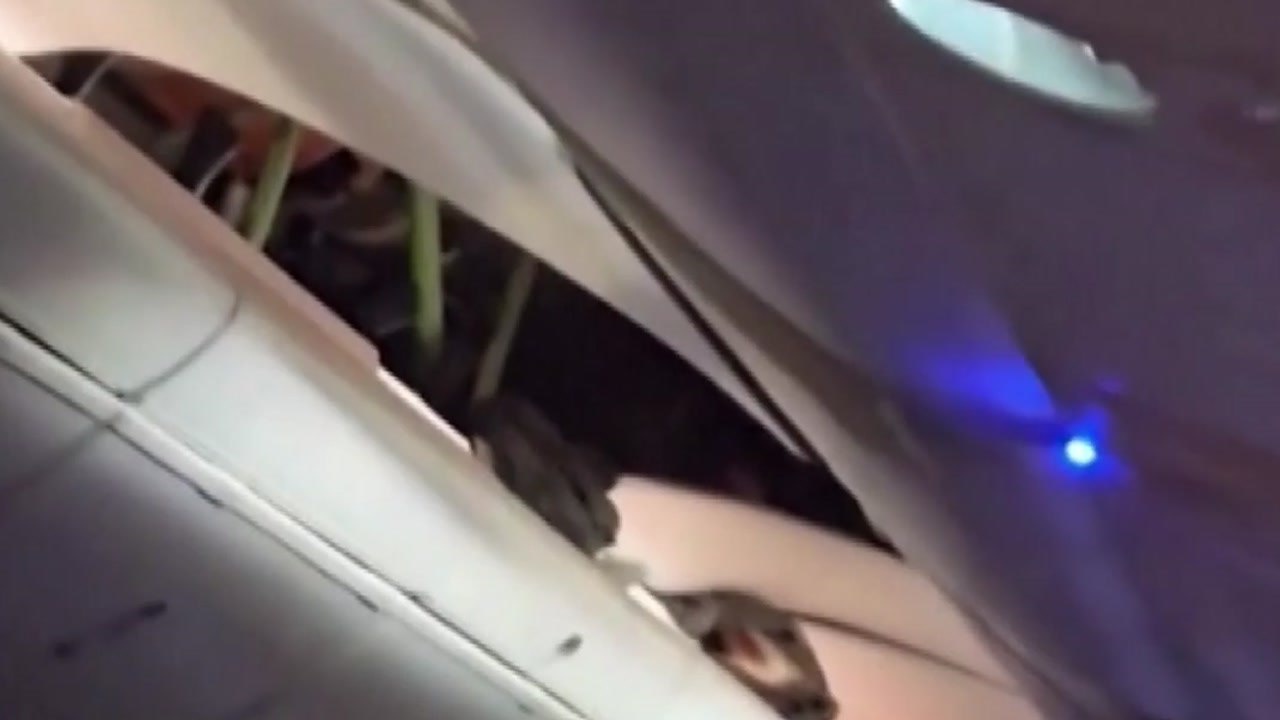 브라질 상공에서 난기류 만난 여객기 비상착륙...30명 부상 / YTN