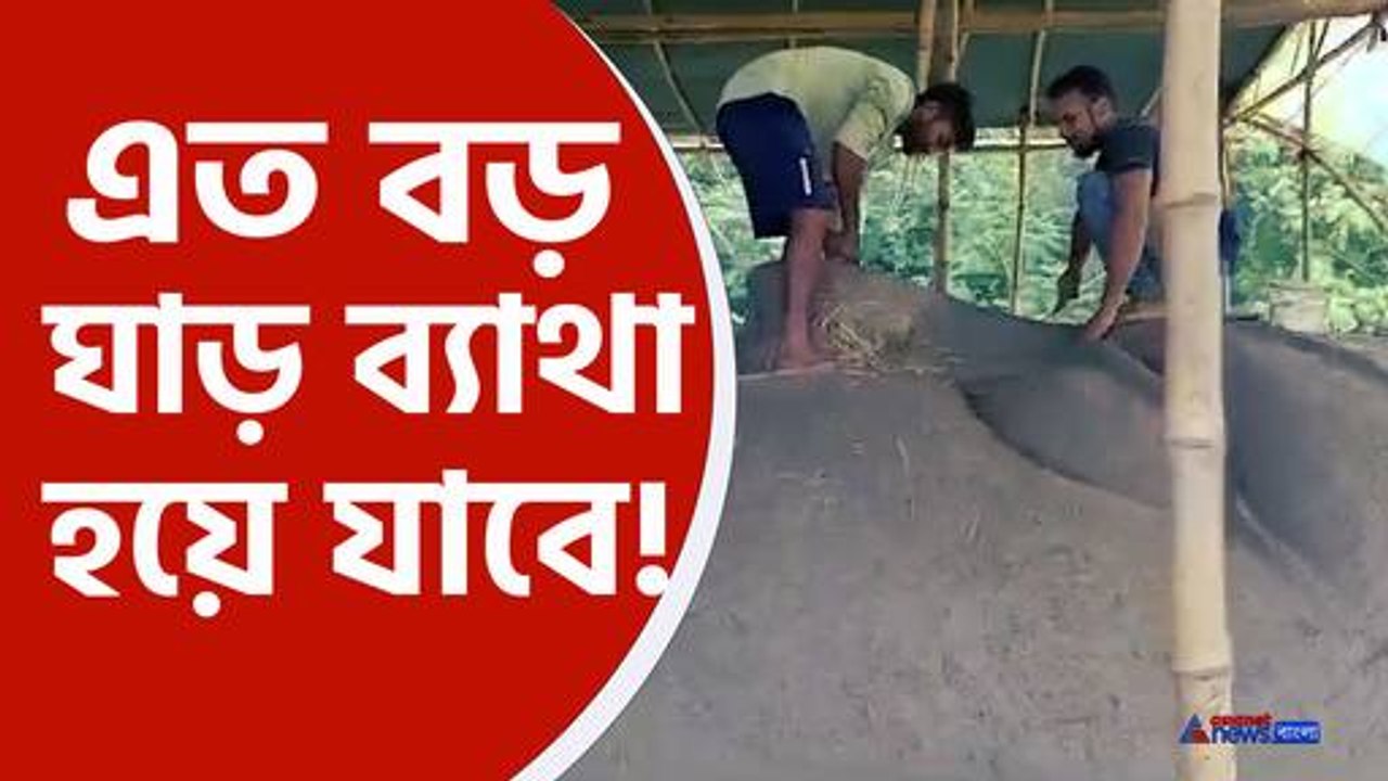 এত বড় দুর্গা প্রতিমা