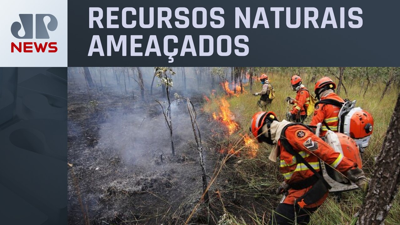 Pantanal ainda sofre com seca e incêndios