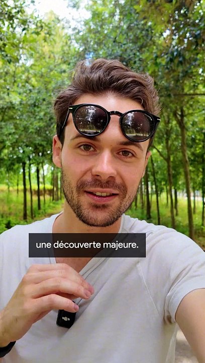 Les avions renifleurs