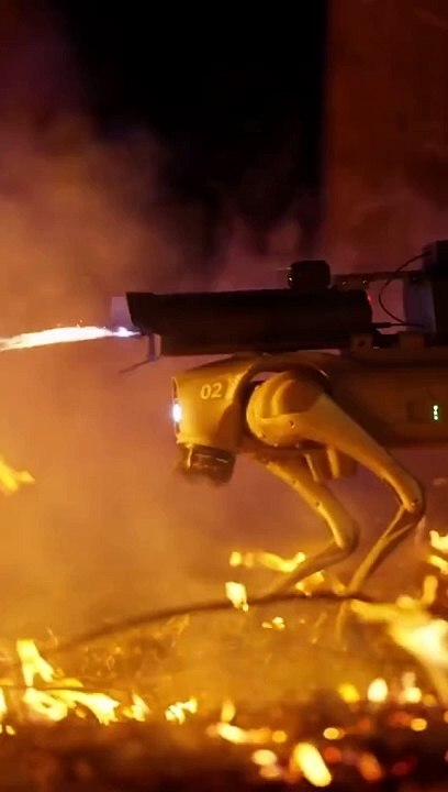 J’ai « construit » un chien robot lance-flammes(Fake tout fake chien fake cheveux)