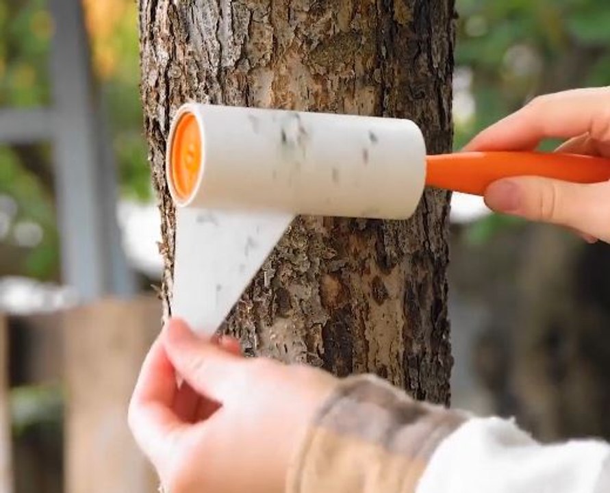 Budget-friendly gardening hacks for a thriving garden!