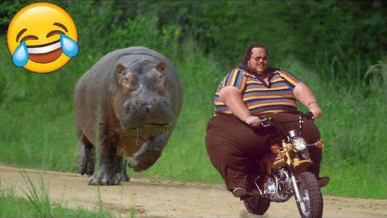 Best Funny Videos - People Being Idiots - Try Not To Laugh