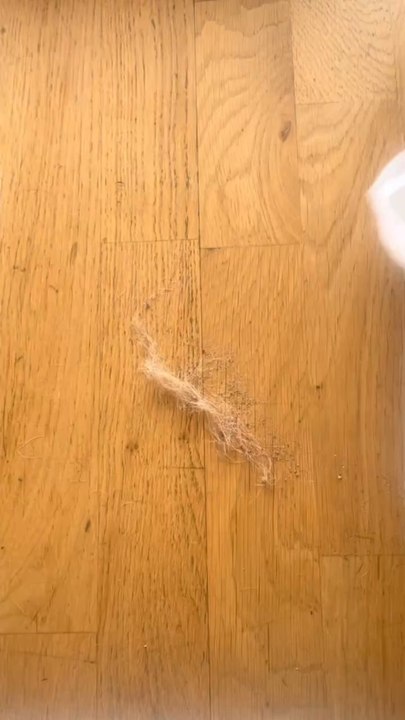 Ramasser la poussière facilement 