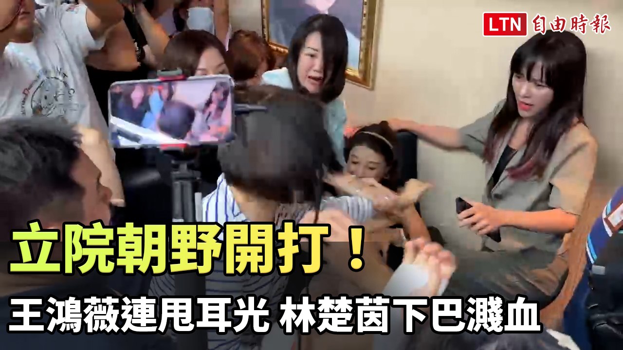 立院朝野開打！王鴻薇連甩耳光 林楚茵下巴濺血（林楚茵提供）