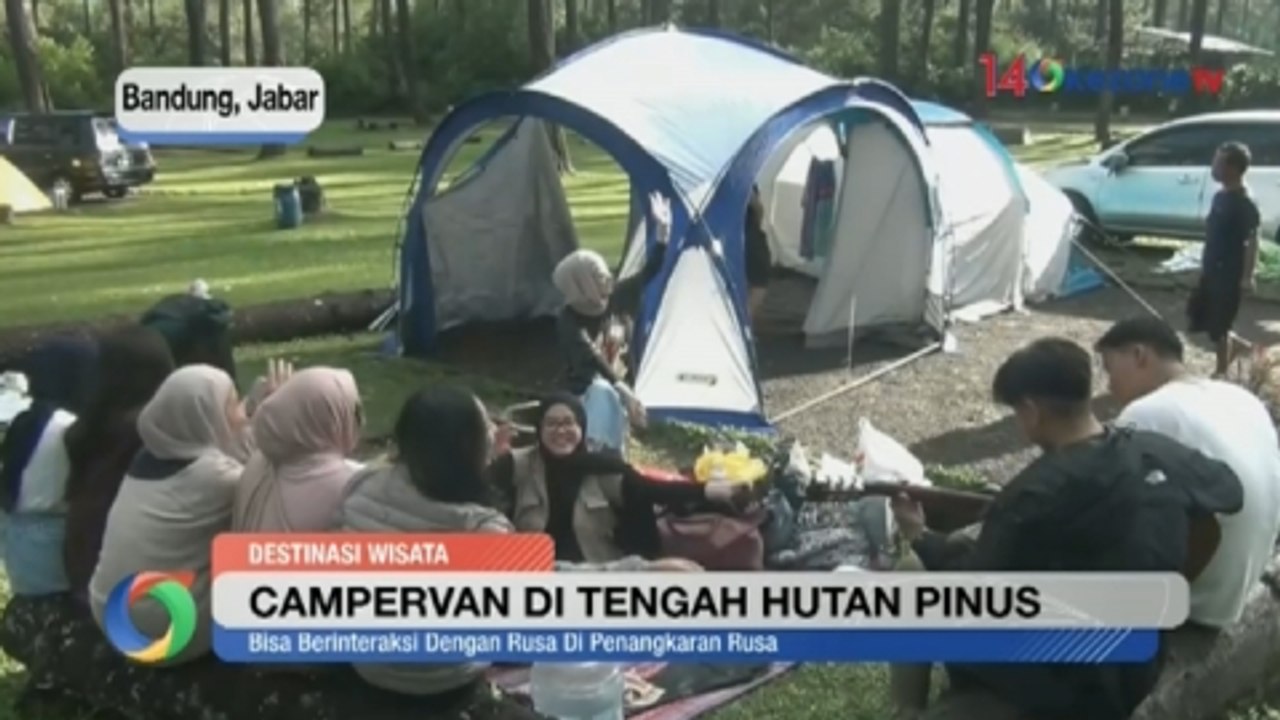 Serunya Campervan di Tengah Hutan Pinus