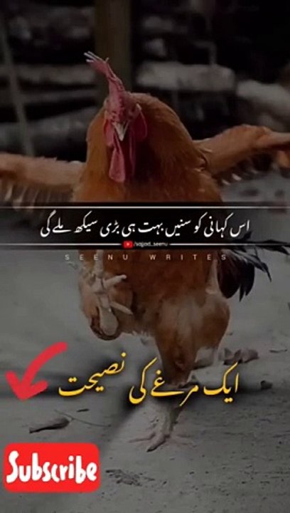 hindi kahani-kahani-murugi-murgi-khan