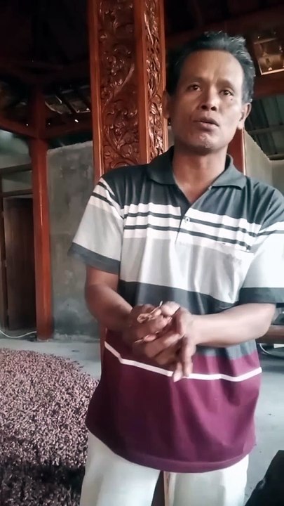 Bibit Unggul Bawang Merah