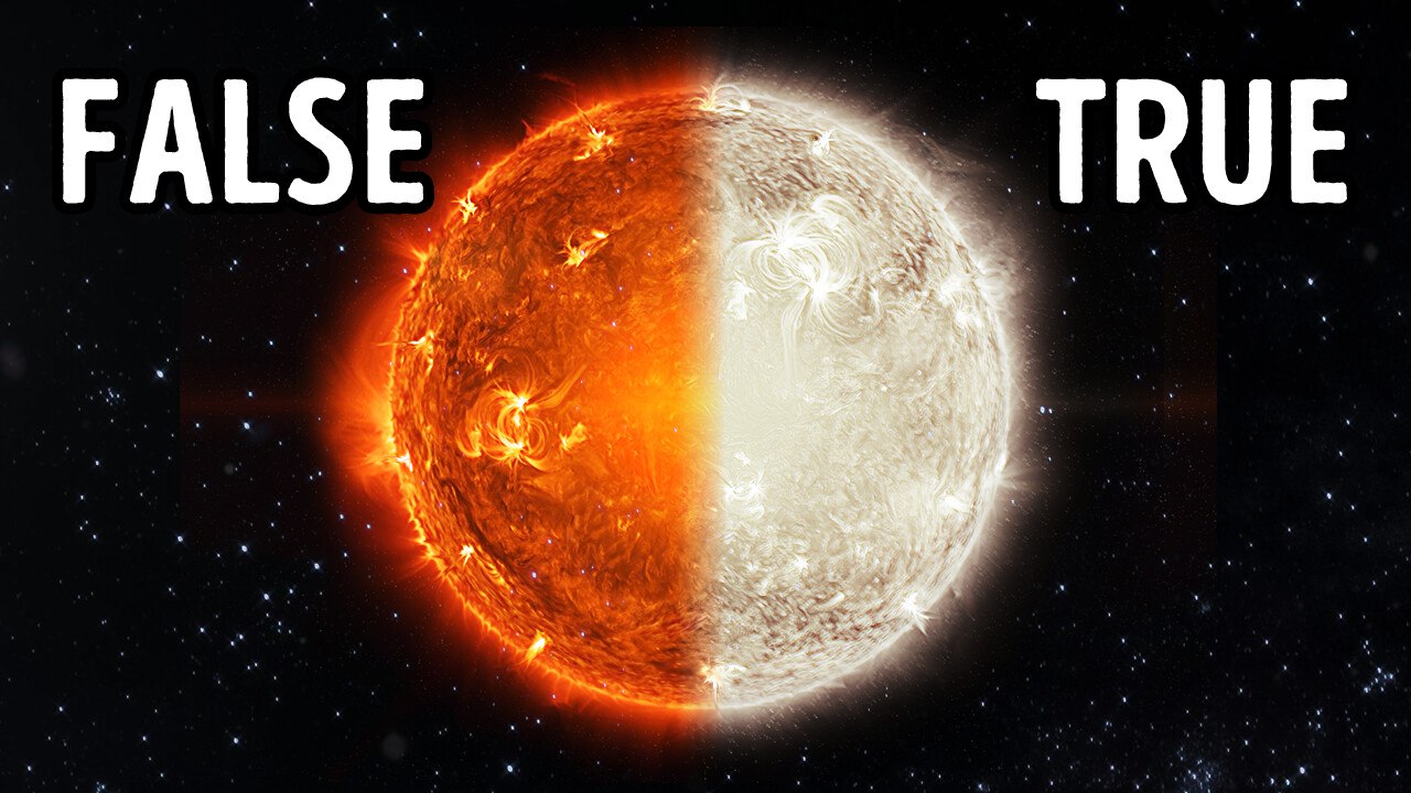 33 True or False Questions to Test Your Weird Fact Knowledge