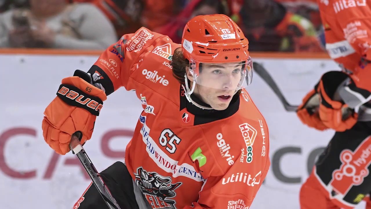 Sheffield Steelers - Interview with Brien Diffley