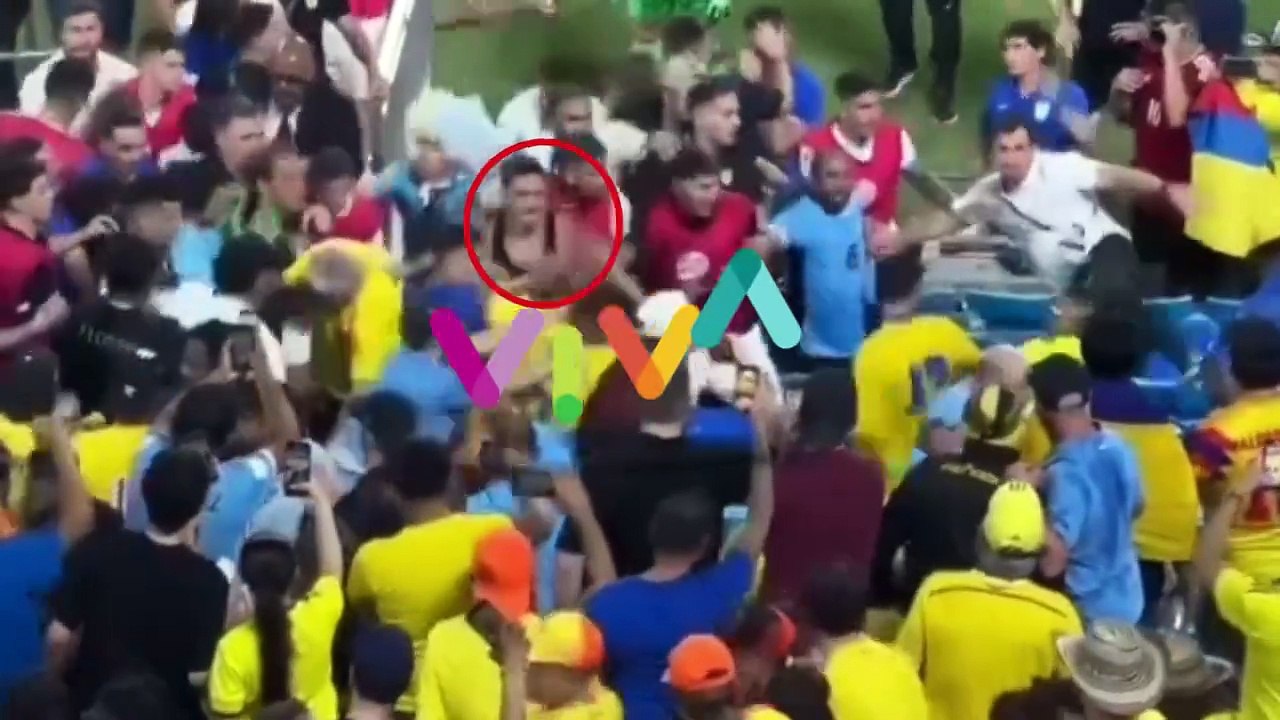 Baku Hantam Darwin Nunez dengan Sporter Kolombia