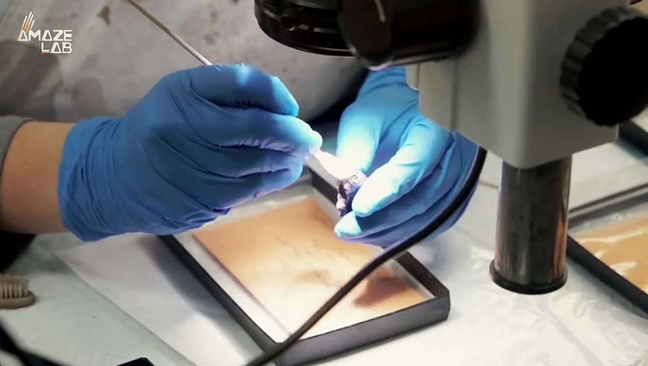 Human DNA Discovered in Neanderthal Remains Dating Back Hundreds of Thousands of Years