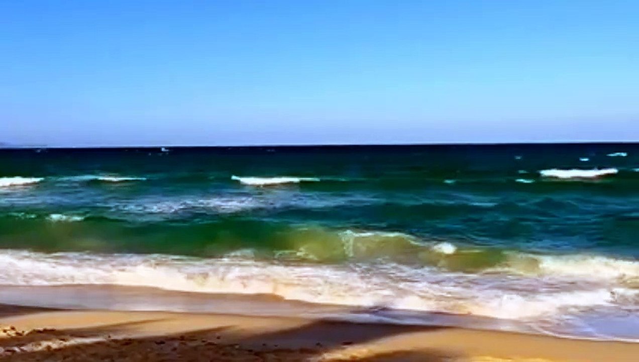 Biển nhớ - Tác giả Trịnh Công Sơn