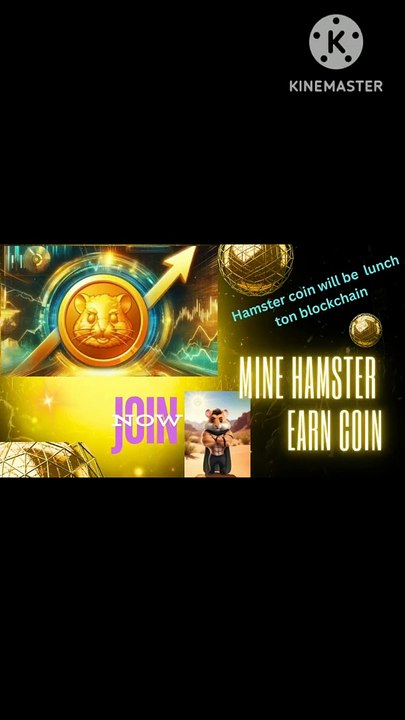 Daily cipher code daily combo card all mining app
