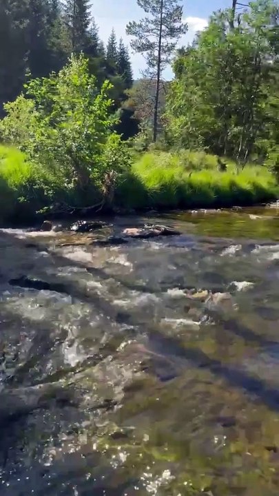 Erling Haaland'dan gündem olan paylaşım!