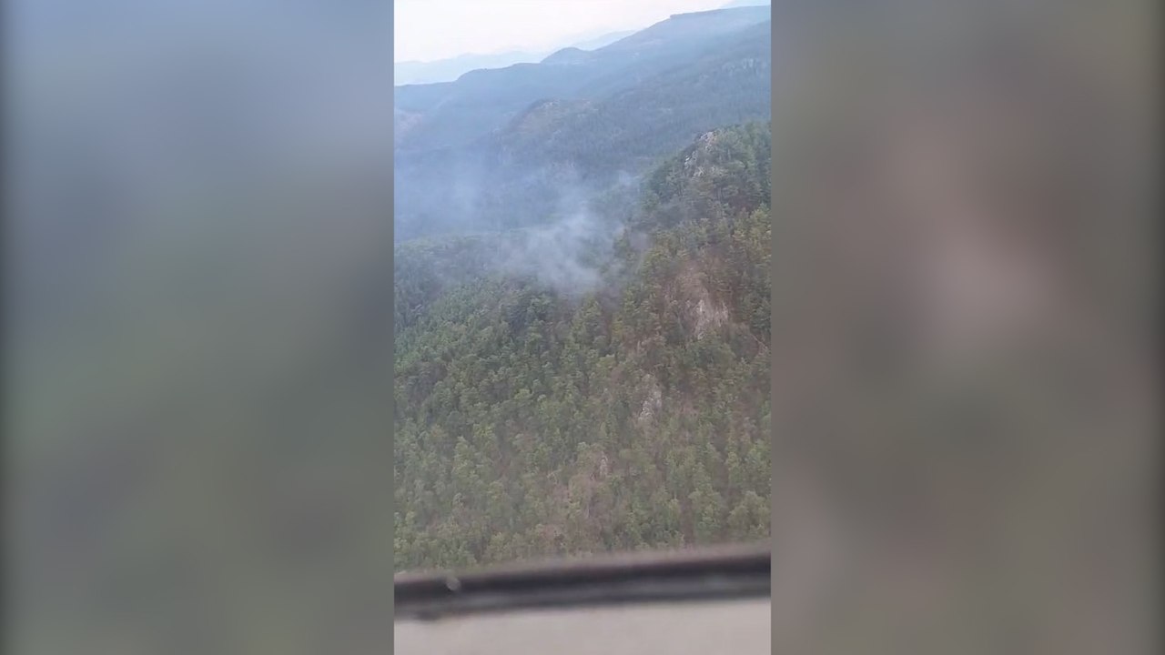 Düşen yıldırımlar ormanı yaktı