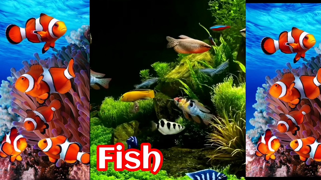 Abc kids learning/AtoZ kids learning