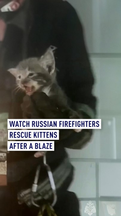 Watch Russian firefighters rescue kittens after a blaze