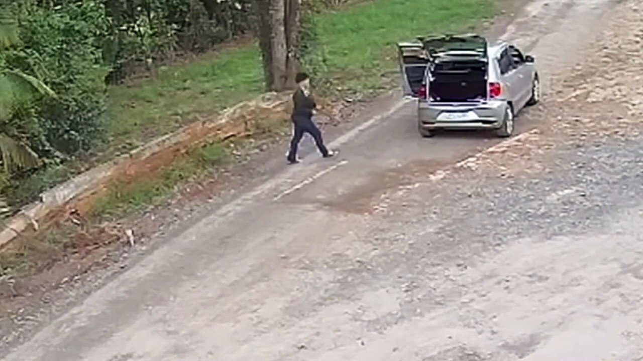 Mulher abandona filhotes e cachorros em estrada