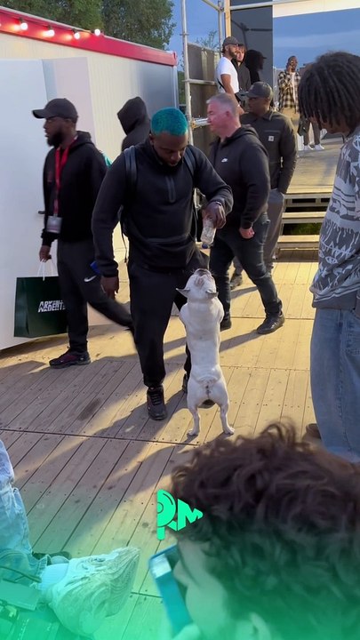 Le chien de Zola il a trop d'énergie