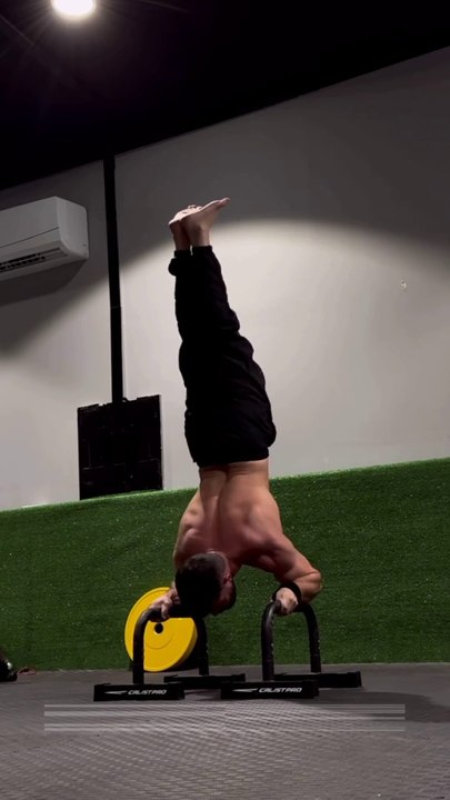 Calisthenics Workout 