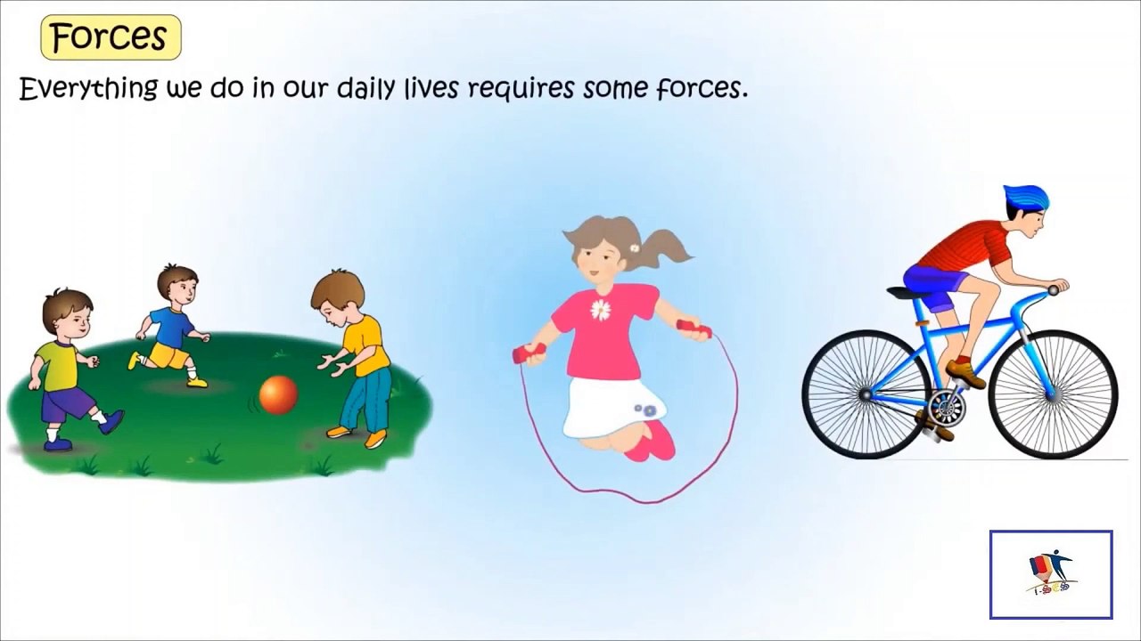 Forces - Forces In Our Daily Life