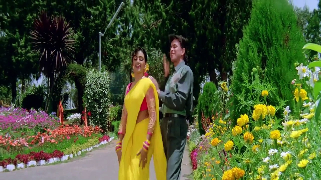 Hum Teri Mohabbat Mein