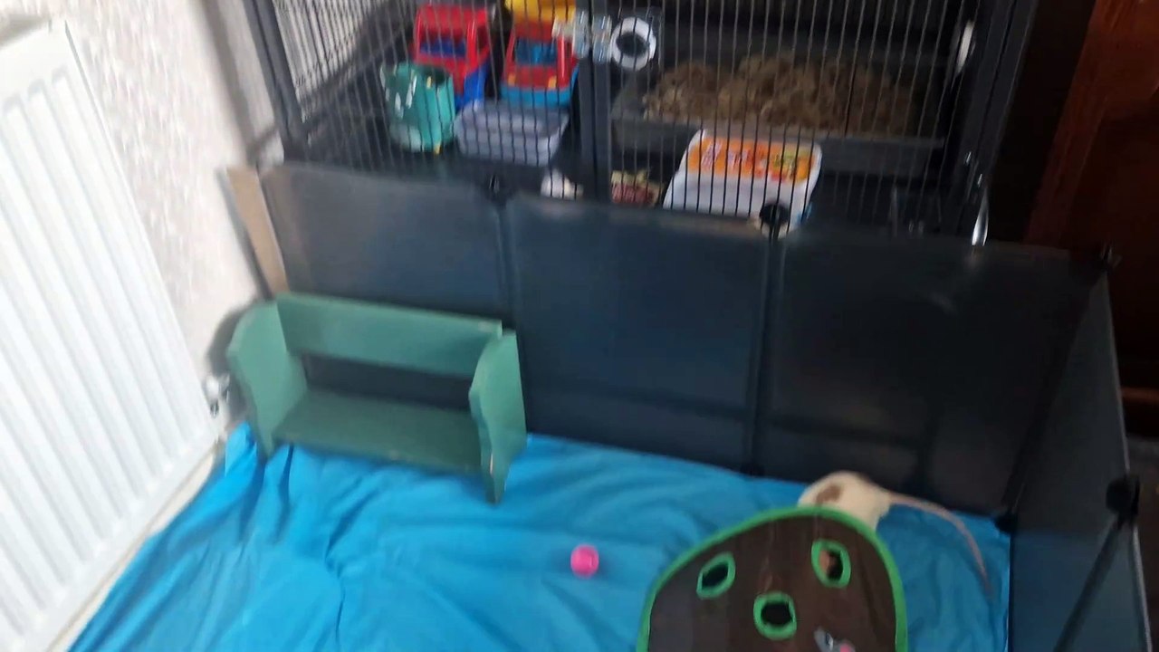 Arlo's Ratty Hotel, Blackpool