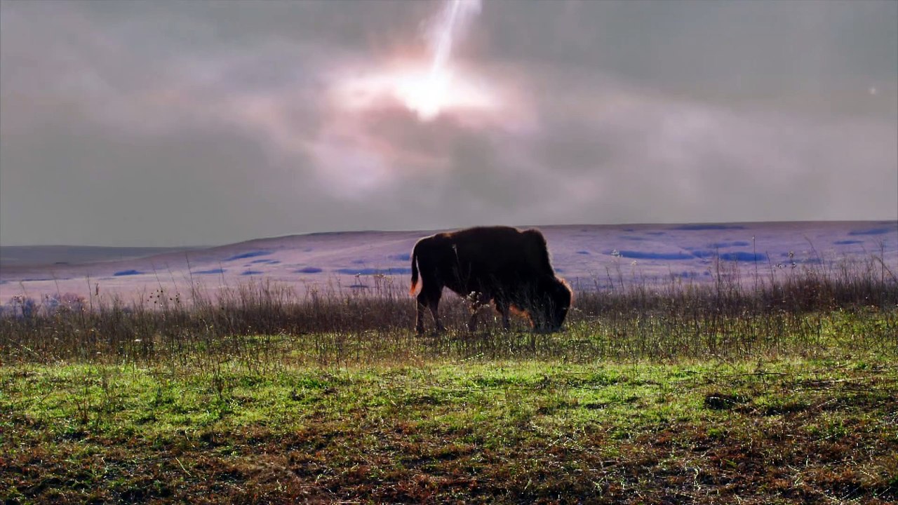 How the Universe Works - Season 4, Episode 5: Dawn of Life