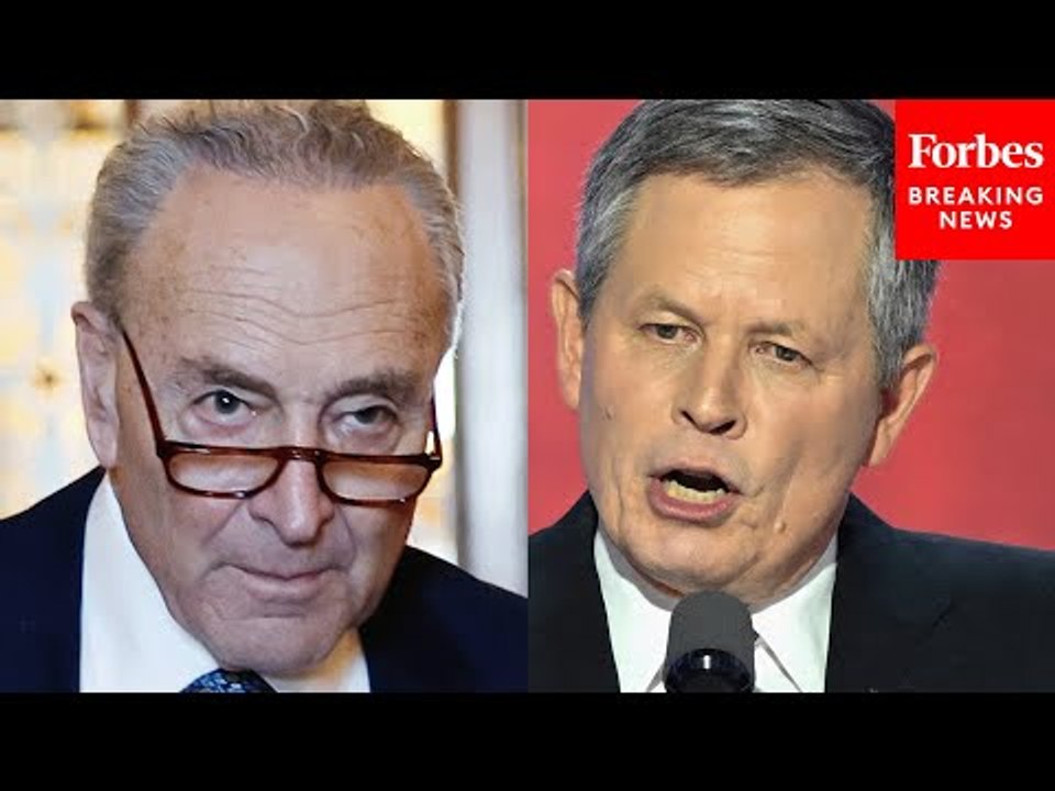 'We're Going To Grab That Gavel Out Of Schumer's Hands': Steve Daines Blasts 'Liberal Senators'